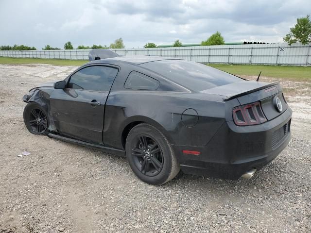 2013 Ford Mustang