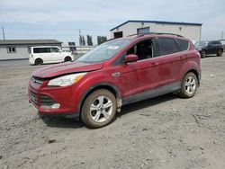 Ford Vehiculos salvage en venta: 2014 Ford Escape SE