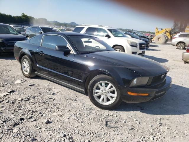 2005 Ford Mustang