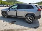 2017 Jeep Cherokee Trailhawk