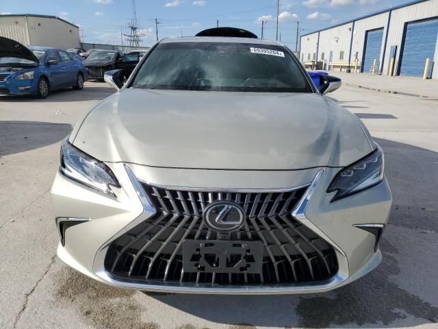 2024 Lexus ES 300H Base