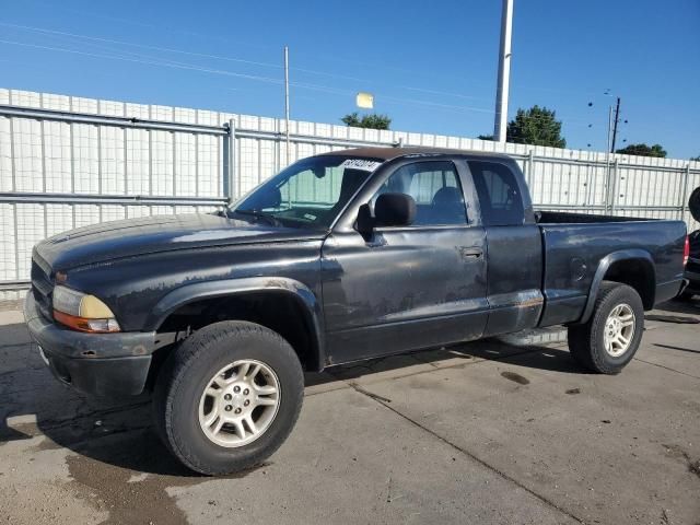 2000 Dodge Dakota