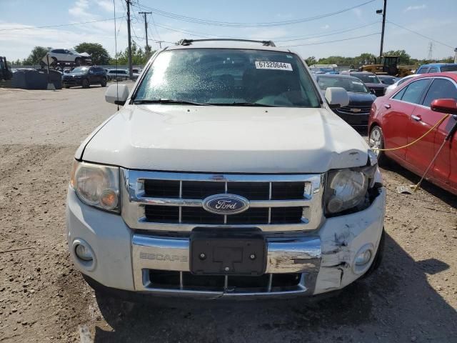 2010 Ford Escape Limited