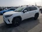 2024 Toyota Rav4 SE