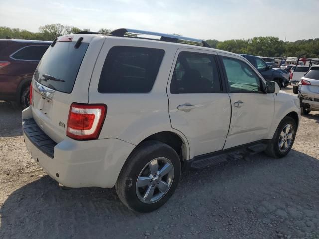 2011 Ford Escape Limited