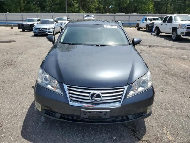 2010 Lexus ES 350