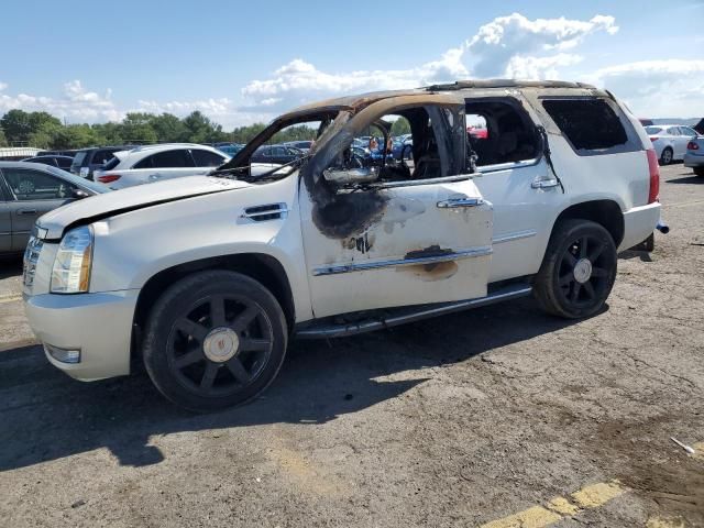 2010 Cadillac Escalade Luxury