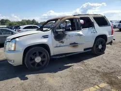 Salvage cars for sale at Pennsburg, PA auction: 2010 Cadillac Escalade Luxury