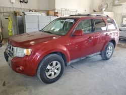 Cars With No Damage for sale at auction: 2010 Ford Escape Limited