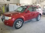 2010 Ford Escape Limited