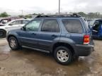 2006 Ford Escape XLT