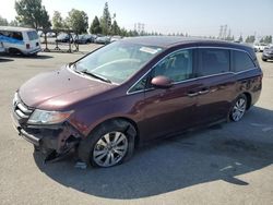 Honda salvage cars for sale: 2014 Honda Odyssey EXL