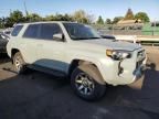 2023 Toyota 4runner SE