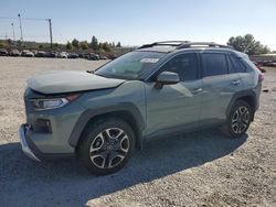 Salvage cars for sale at Mentone, CA auction: 2019 Toyota Rav4 Adventure