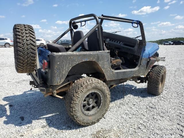 1993 Jeep Wrangler / YJ S