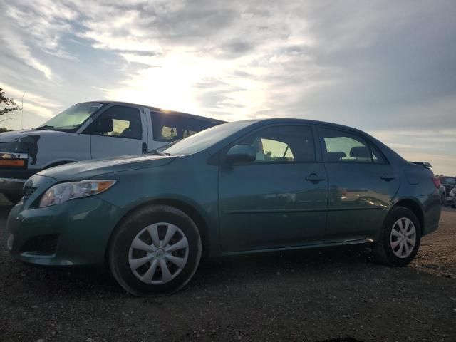 2009 Toyota Corolla Base