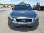 2008 Honda Accord EX