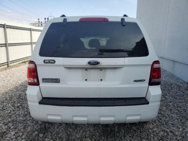 2008 Ford Escape XLT