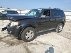 Ford Vehiculos salvage en venta: 2011 Ford Escape XLT