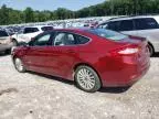 2016 Ford Fusion SE Phev