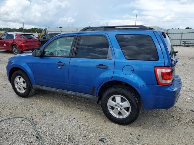 2012 Ford Escape XLT