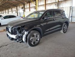 2023 Hyundai Santa FE SEL en venta en Phoenix, AZ