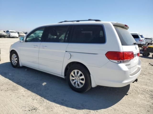 2010 Honda Odyssey EXL