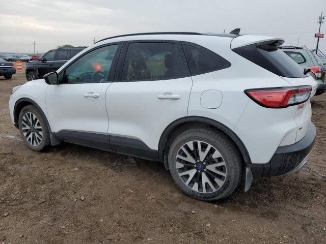 2020 Ford Escape SE Sport