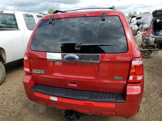 2010 Ford Escape Limited