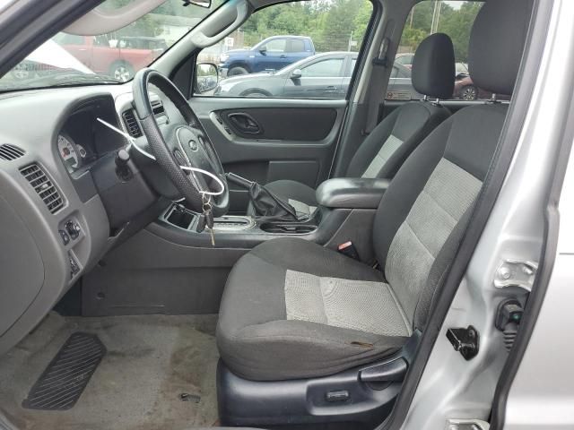 2007 Ford Escape XLT