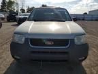 2004 Ford Escape XLT