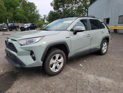 Toyota rav4 xle salvage cars for sale: 2020 Toyota Rav4 XLE