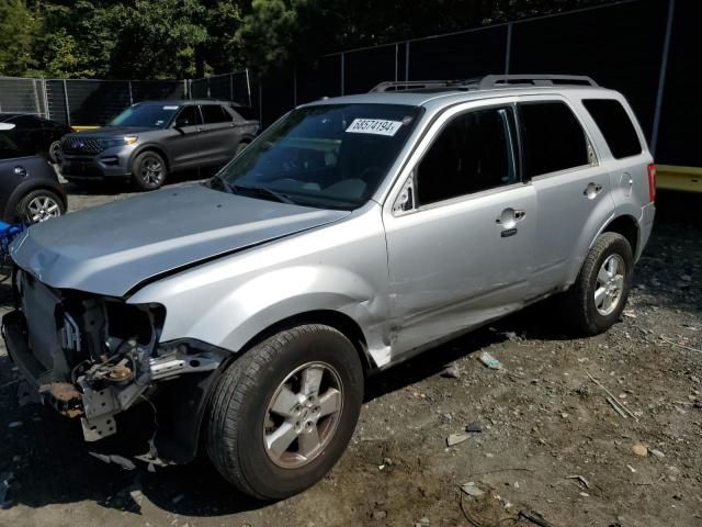 2010 Ford Escape XLT