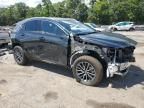 2024 Lexus NX 350H Base