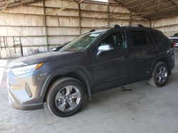 Salvage cars for sale at Phoenix, AZ auction: 2023 Toyota Rav4 XLE