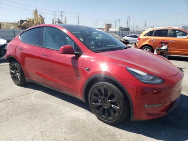 2021 Tesla Model Y