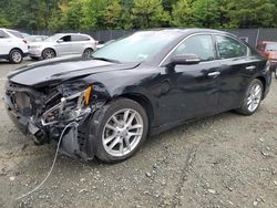 Nissan salvage cars for sale: 2009 Nissan Maxima S