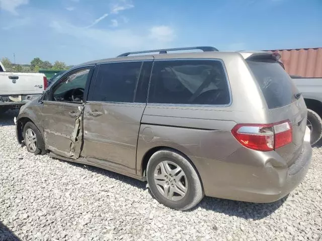 2005 Honda Odyssey EXL