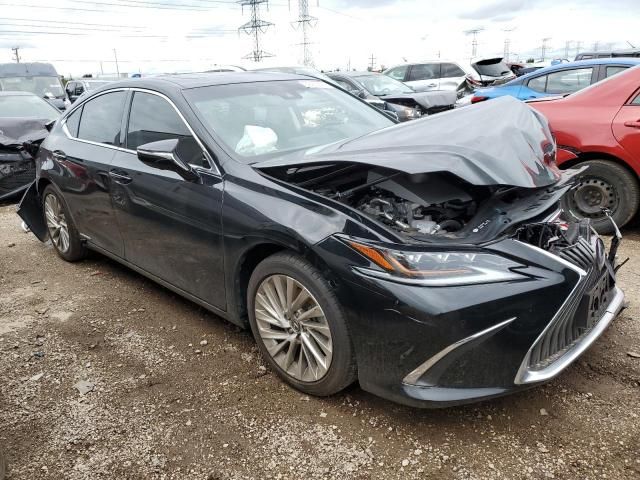 2020 Lexus ES 300H Luxury