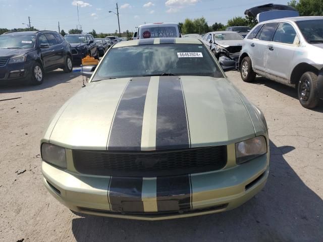 2005 Ford Mustang