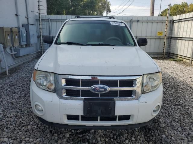 2008 Ford Escape XLT