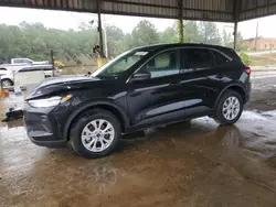 Salvage cars for sale at Gaston, SC auction: 2024 Ford Escape Active