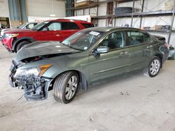 Honda salvage cars for sale: 2010 Honda Accord EXL