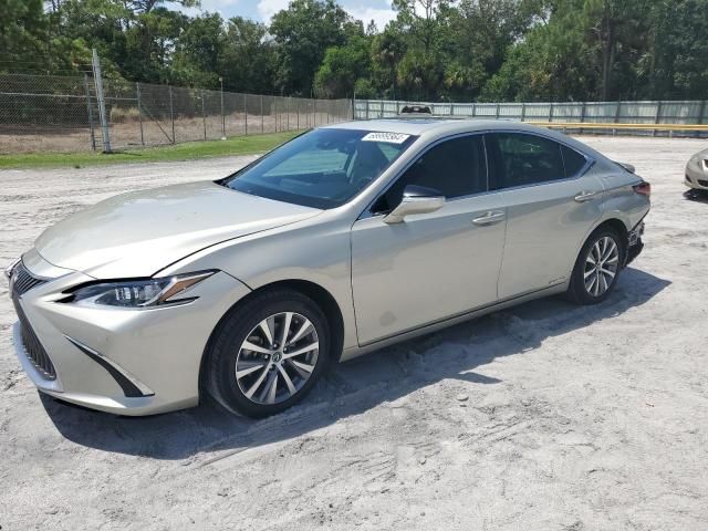 2020 Lexus ES 300H