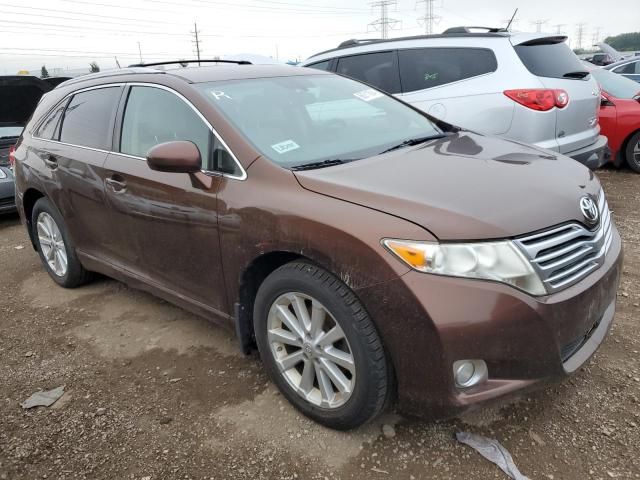 2010 Toyota Venza