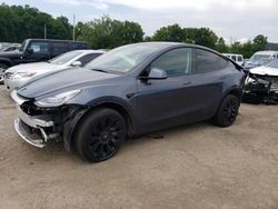 2023 Tesla Model Y en venta en Marlboro, NY