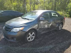 Salvage cars for sale at Cookstown, ON auction: 2011 Toyota Corolla Base