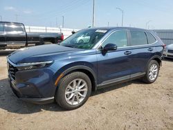 Salvage cars for sale at Greenwood, NE auction: 2024 Honda CR-V EX