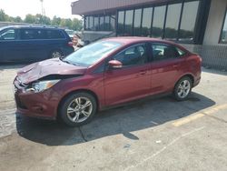 Salvage cars for sale at Fort Wayne, IN auction: 2013 Ford Focus SE