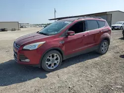 Salvage cars for sale from Copart Temple, TX: 2013 Ford Escape SEL